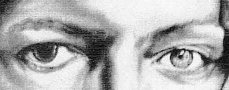 detail bowie